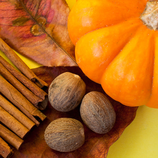 Pumpkin Spice Lip Balm