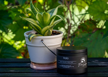 Halo 6oz Candle