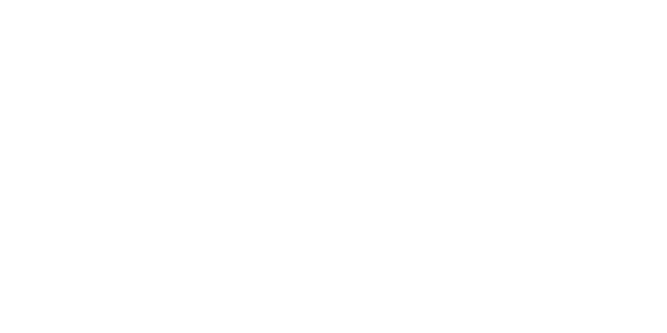 Terra Solyra LLC